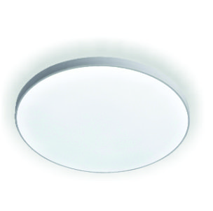 Светильник герметичный LEEK LED BL IP65 18W 5000K