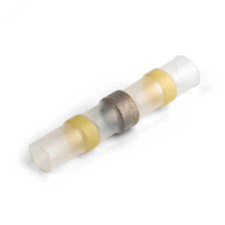 pk-t_6_0