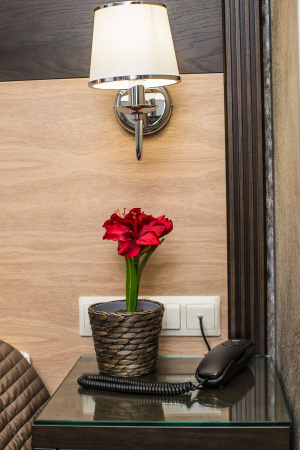 21e86df9cfc6272cab1ce5934ee9e1af