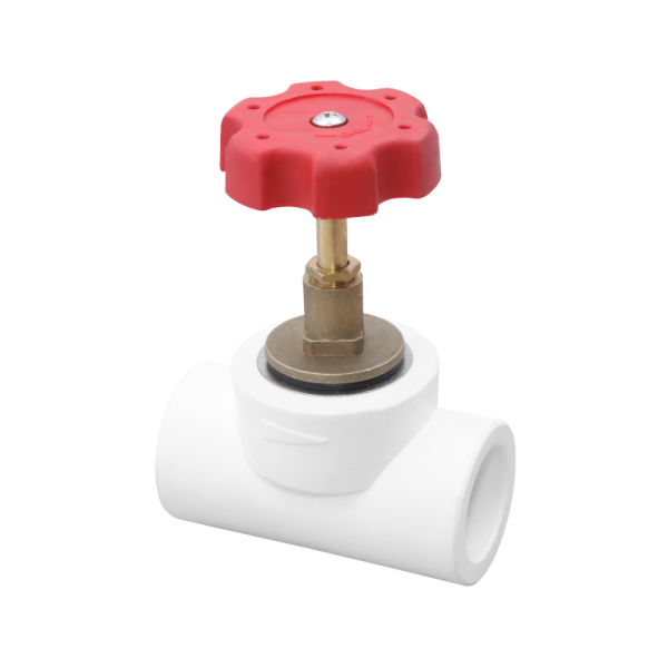 pmtcvsqbxcu3er0iqvtw7nku0iol9okd